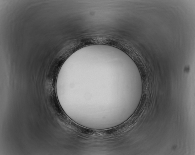 X0000100850599200806200804