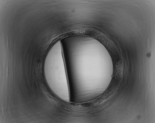 X0000100850600200806200804