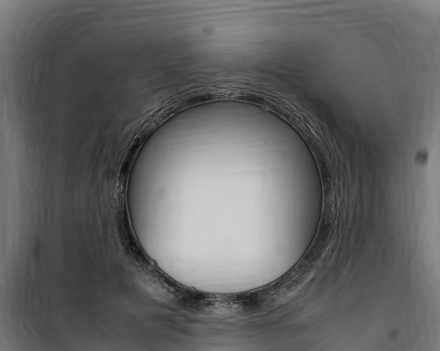 X0000100850601200806200804