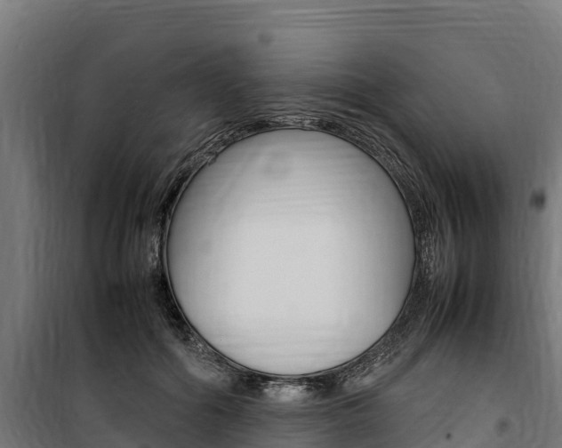 X0000100850602200806200804