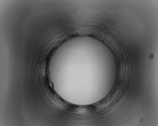 X0000100850604200806200804