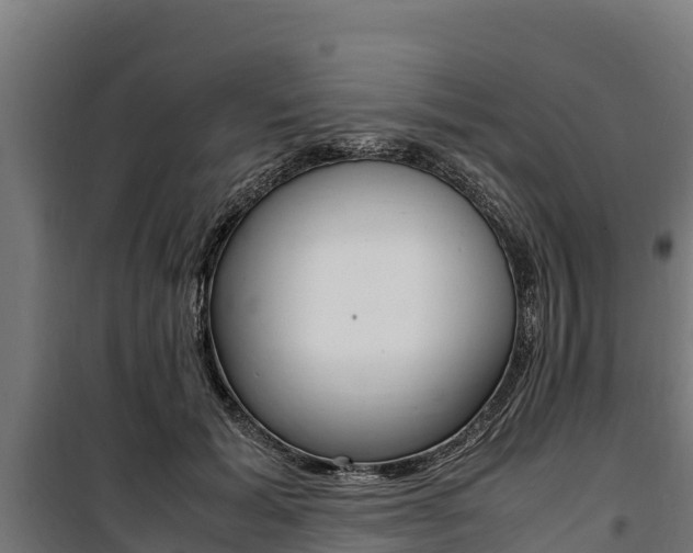 X0000100850605200806200804
