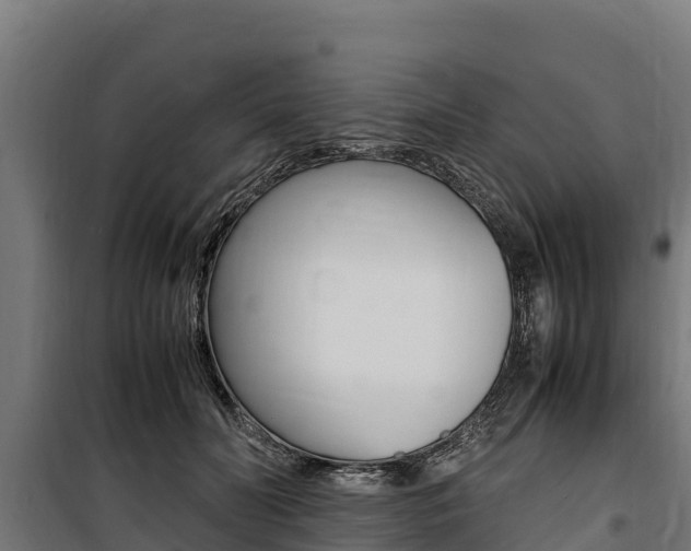 X0000100850606200806200804