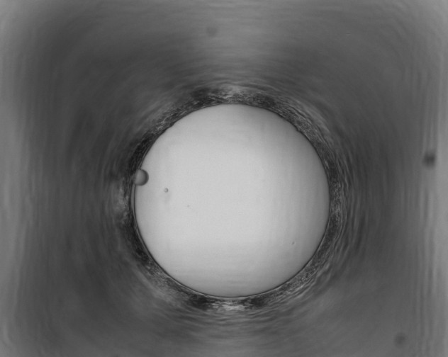 X0000100850607200806200804