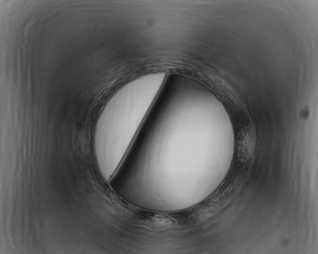 X0000100850608200806200804
