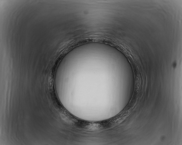 X0000100850609200806200804