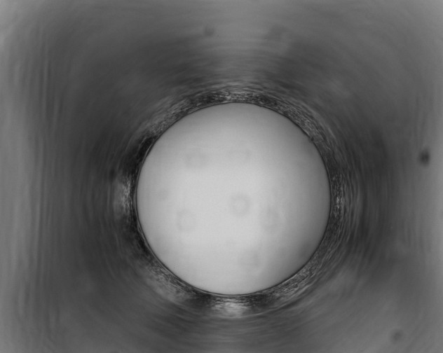 X0000100850610200806200804