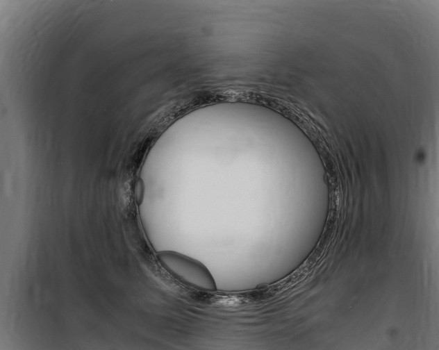 X0000100850611200806200804