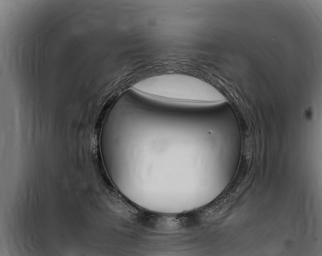 X0000100850613200806200803