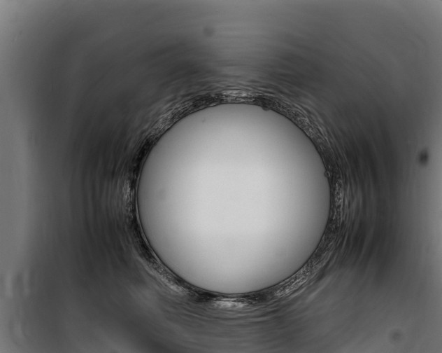 X0000100850614200806200803