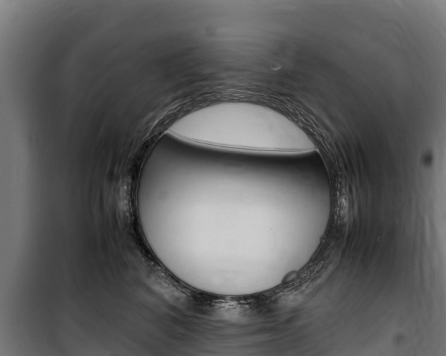 X0000100850616200806200803