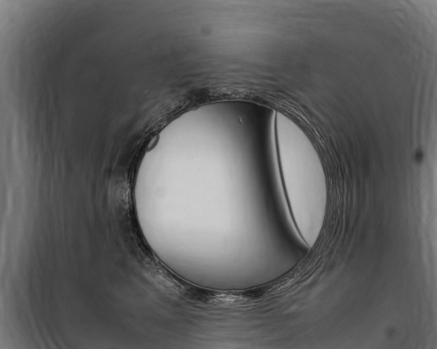 X0000100850617200806200803