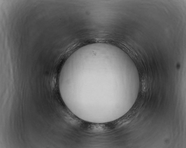 X0000100850618200806200803