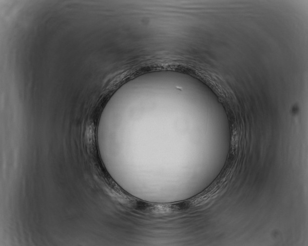 X0000100850623200806200803