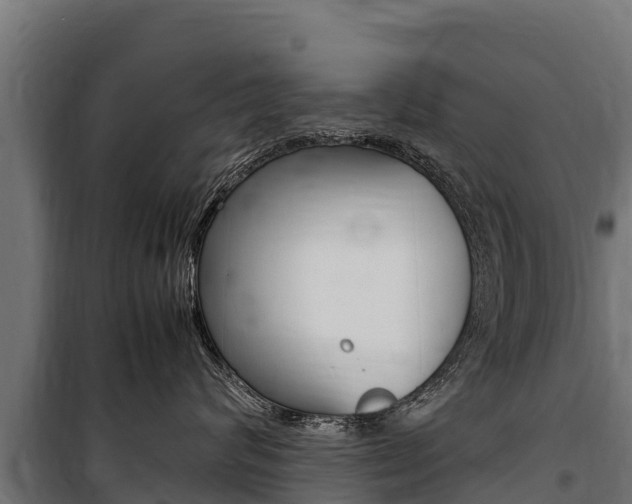 X0000100850624200806200803