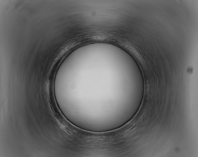 X0000100850626200806200803
