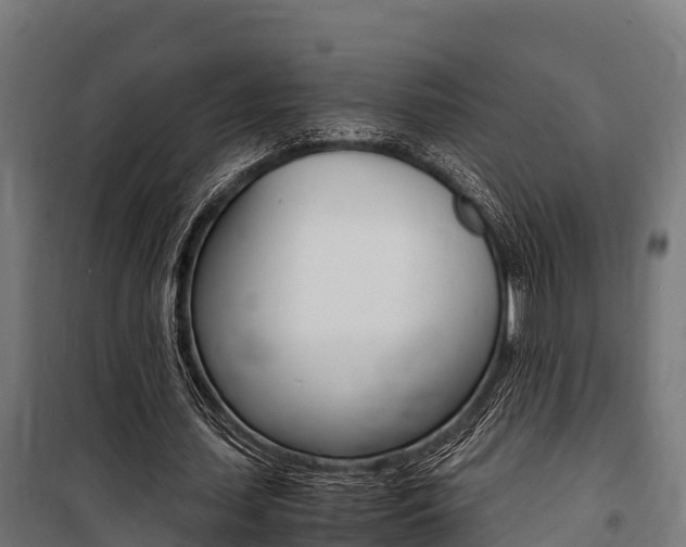 X0000100850627200806200803