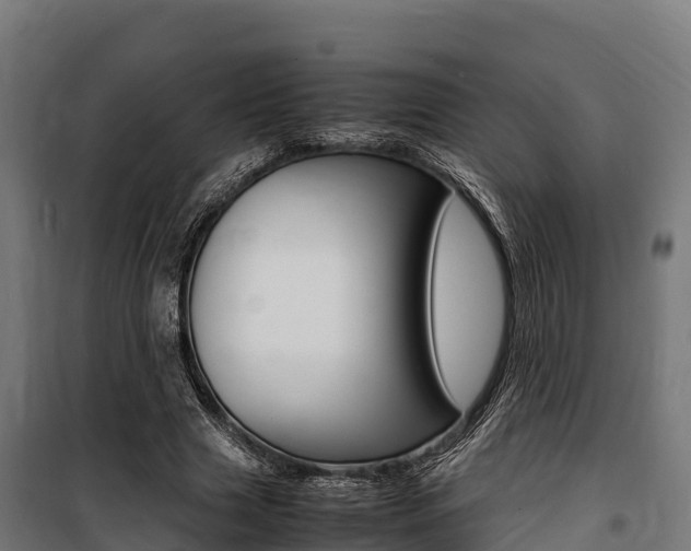 X0000100850633200806200803