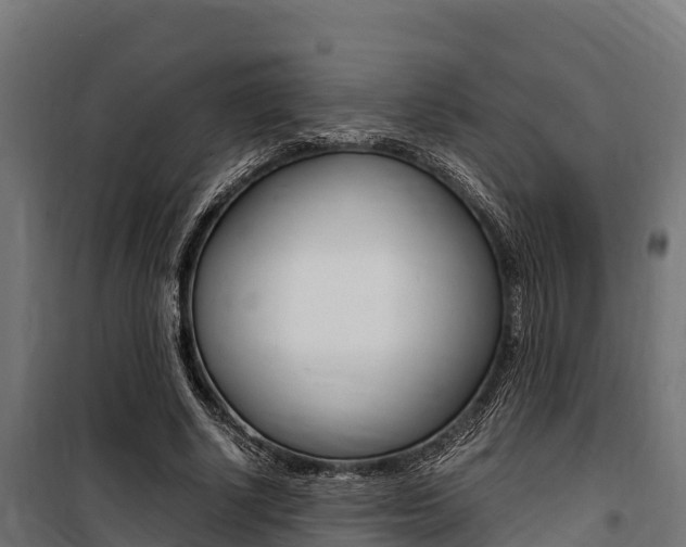 X0000100850634200806200803