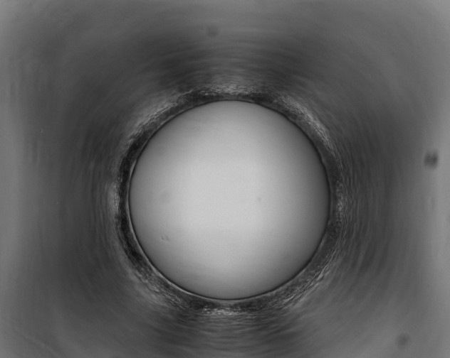 X0000100850635200806200803