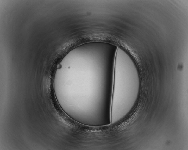 X0000100850637200806200803