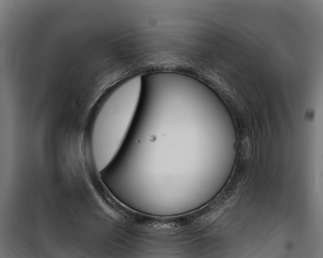 X0000100850638200806200803