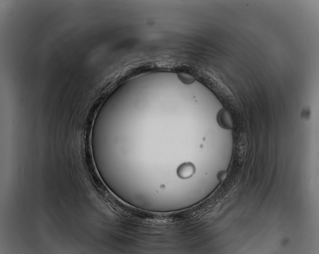 X0000100850639200806200803