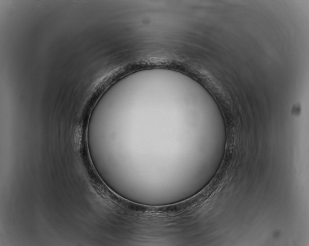 X0000100850640200806200803