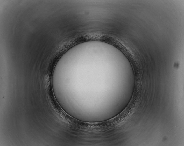 X0000100850641200806200803