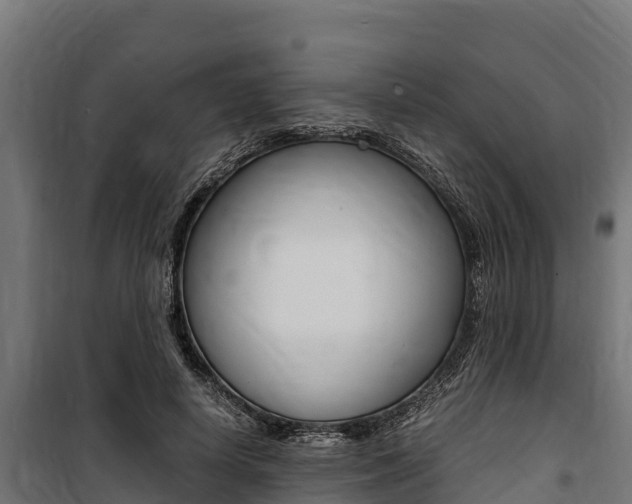 X0000100850642200806200803