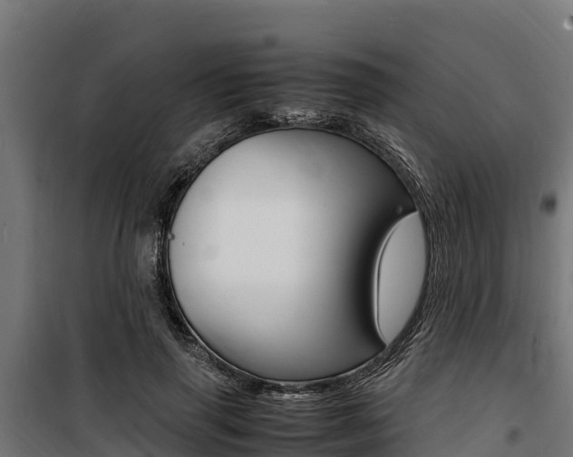 X0000100850645200806200803