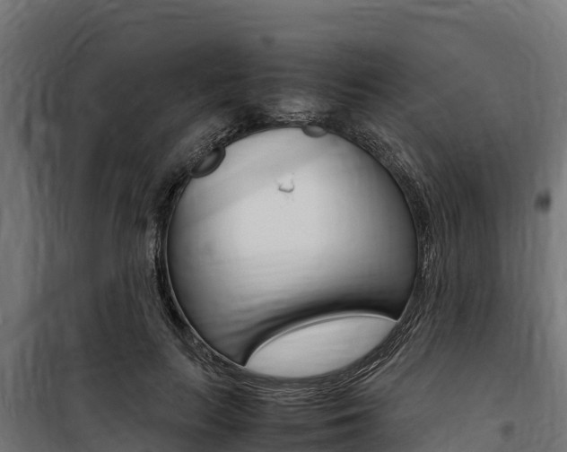 X0000100850647200806200803