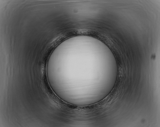 X0000100850648200806200803