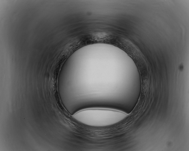 X0000100850653200806200803