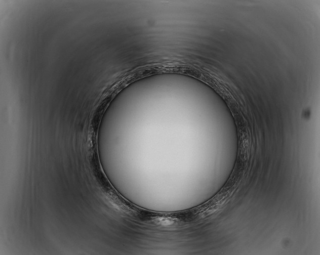 X0000100850654200806200803