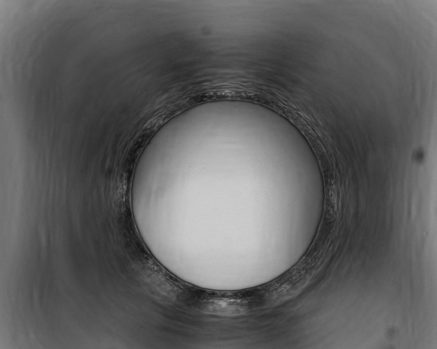 X0000100850657200806200803