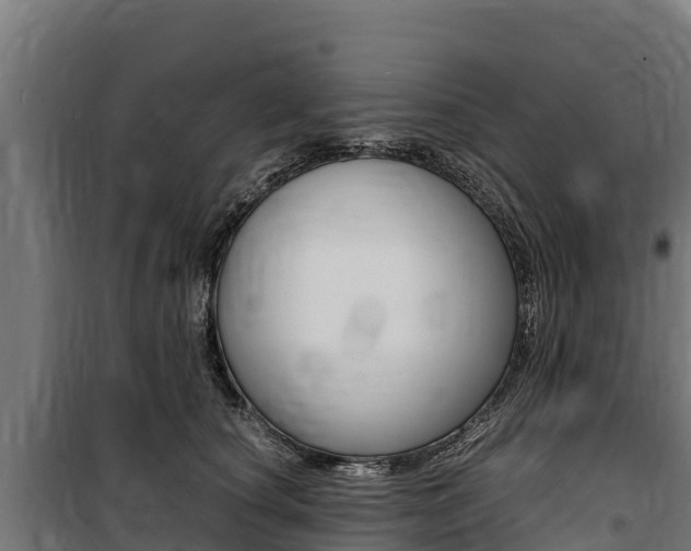 X0000100850660200806200803