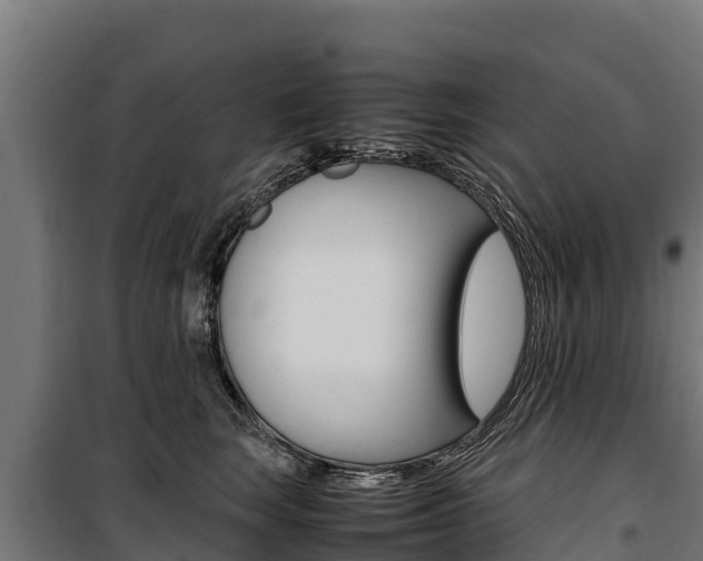 X0000100850663200806200803