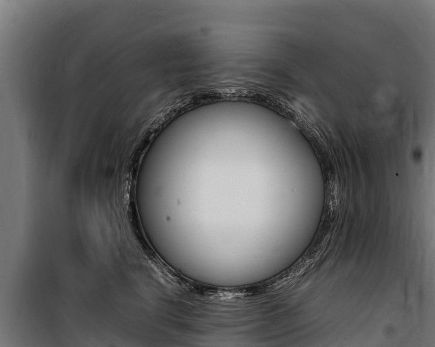 X0000100850664200806200803