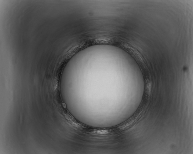 X0000100850665200806200803