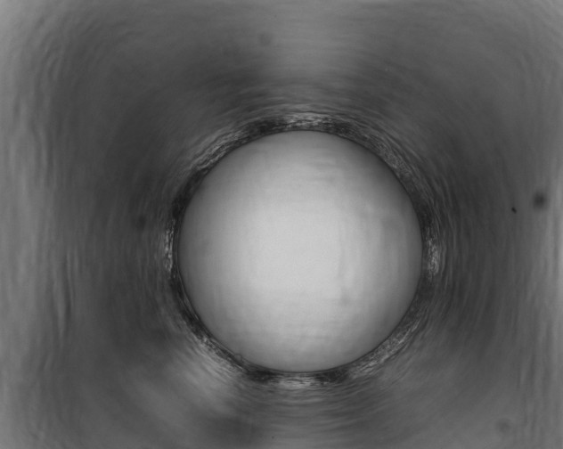 X0000100850666200806200803