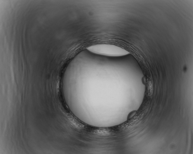 X0000100850668200806200803