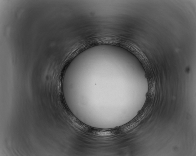 X0000100850669200806200803