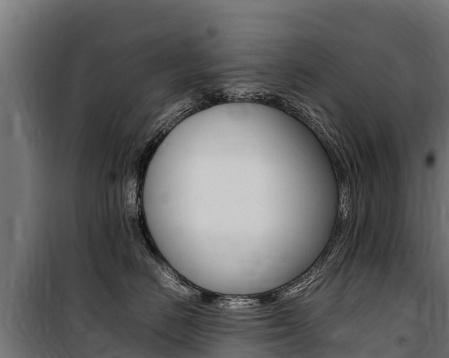 X0000100850670200806200803