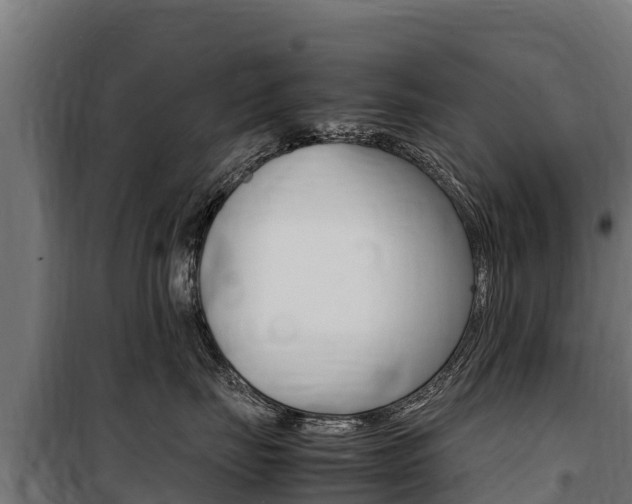 X0000100850671200806200803