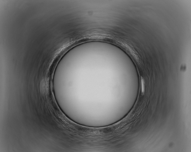 X0000100850675200806200803