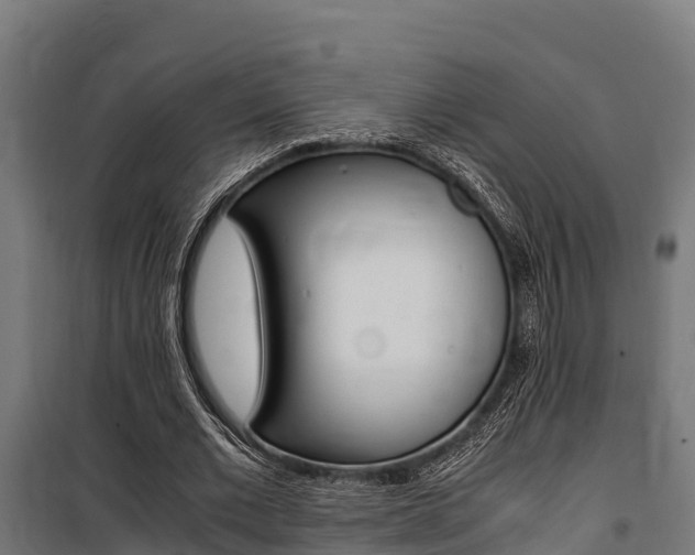 X0000100850677200806200802