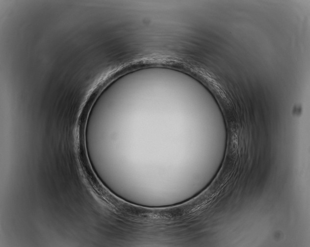 X0000100850678200806200802