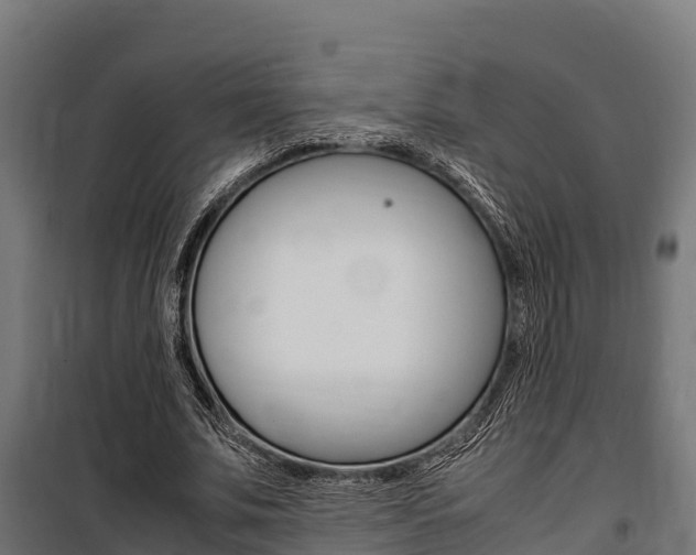 X0000100850679200806200802