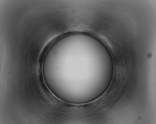 X0000100850680200806200802